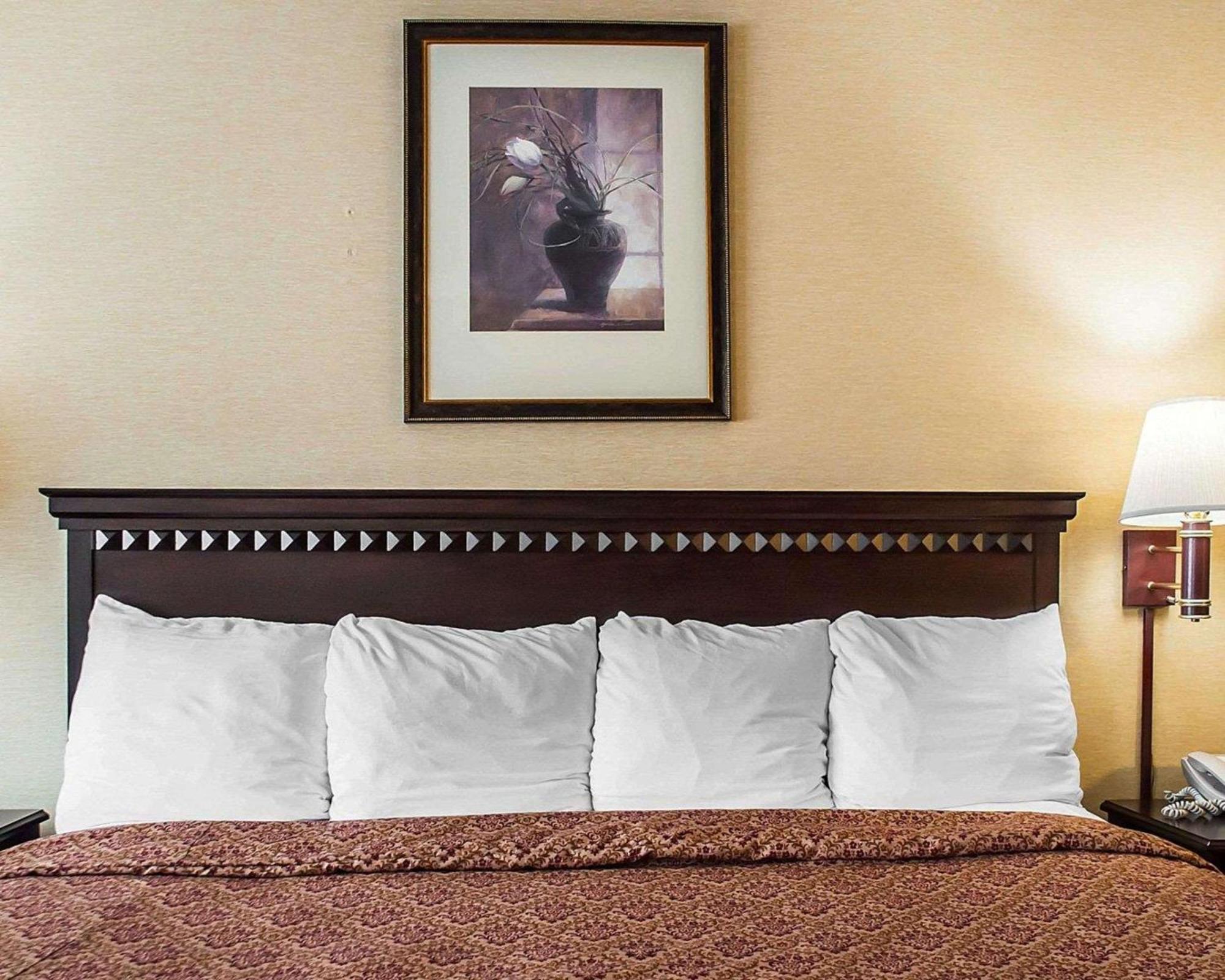 Econo Lodge Elmira-Corning Fisherville Экстерьер фото